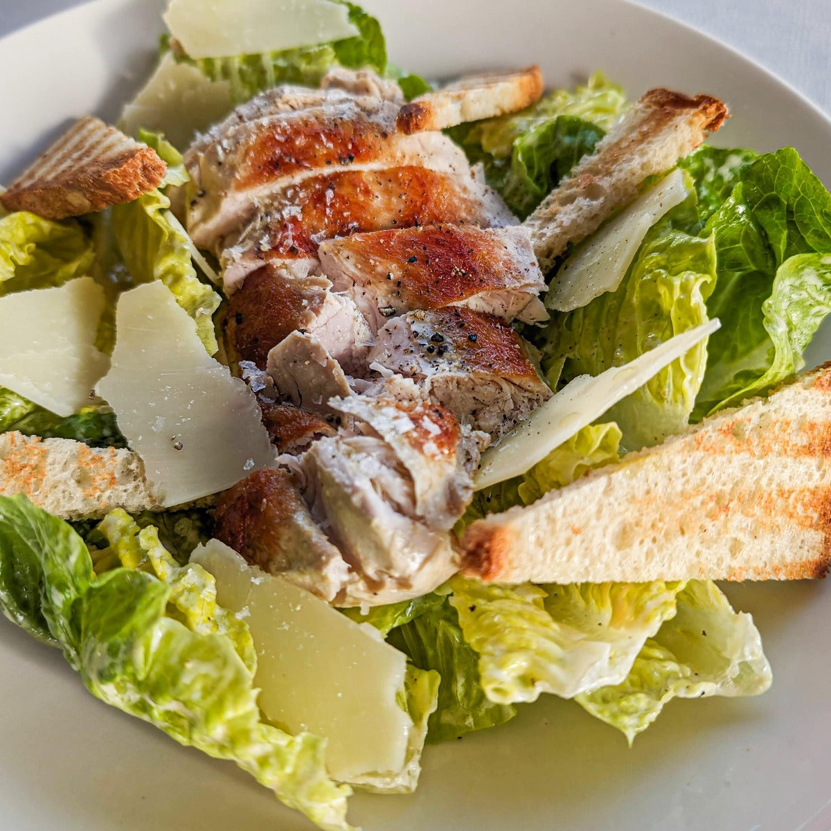 Caesar salat med kylling, hjertesalat, crôutons og parmesan