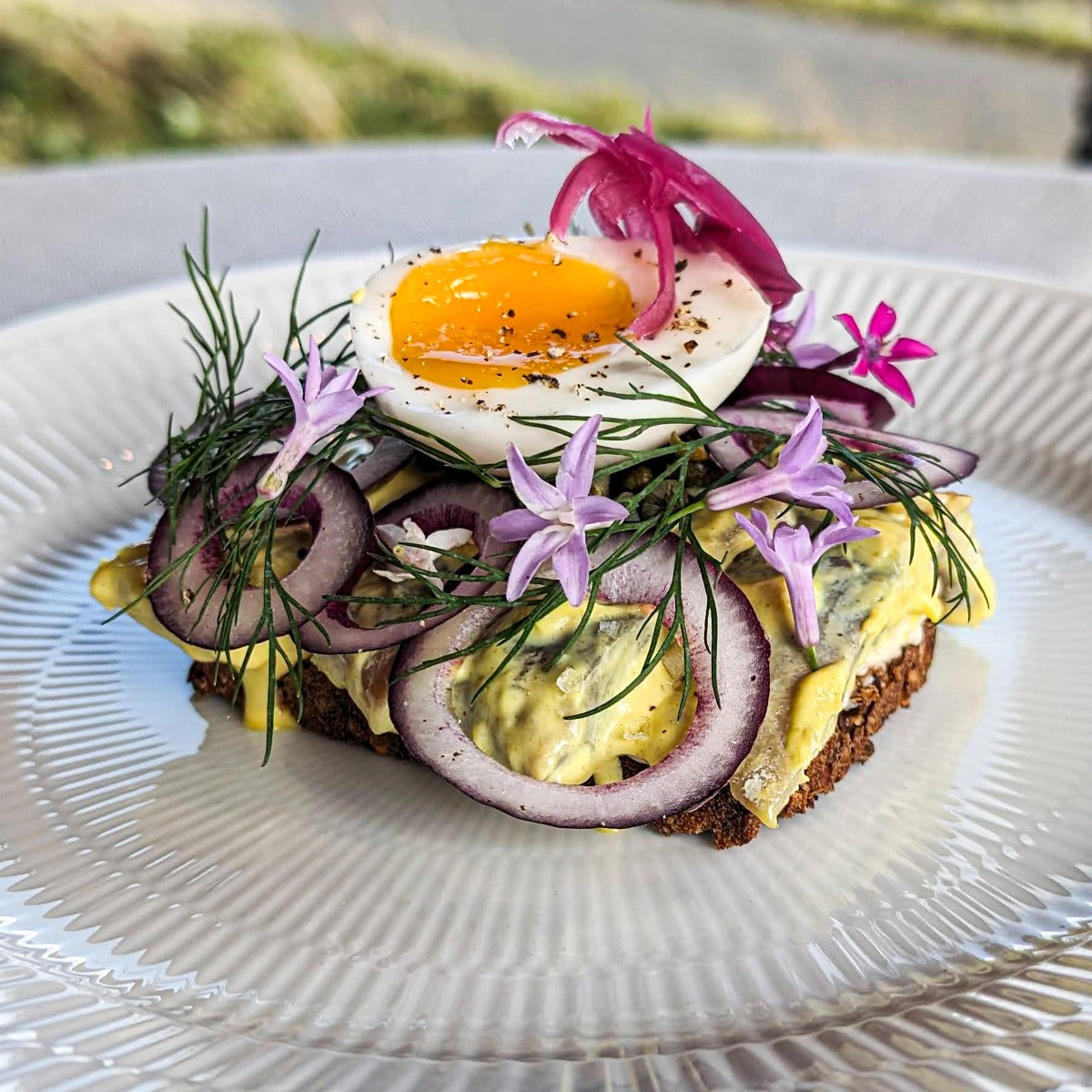 Karrysild med smilende æg, rødløg og kapers